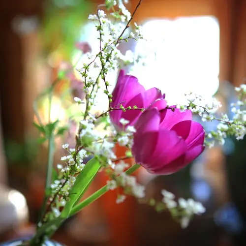 부산 김해공항 주차장