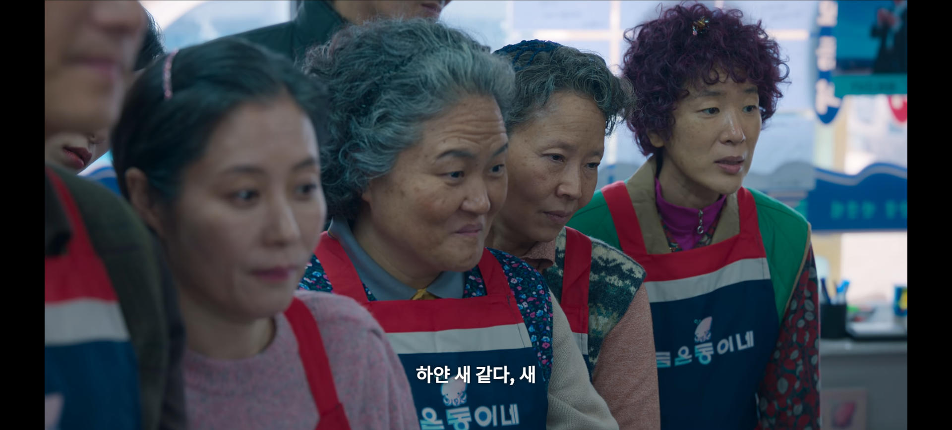 정미인을 바라보는 애순 식구들