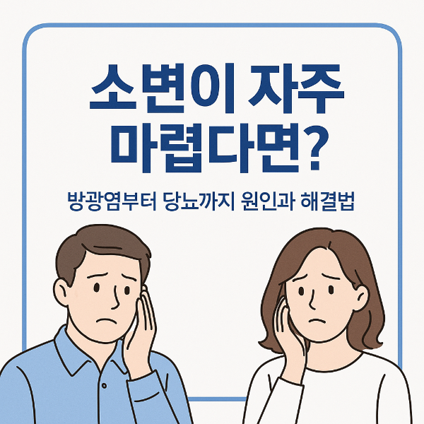 소변 자주 마려움 썸네일 이미지입니다.