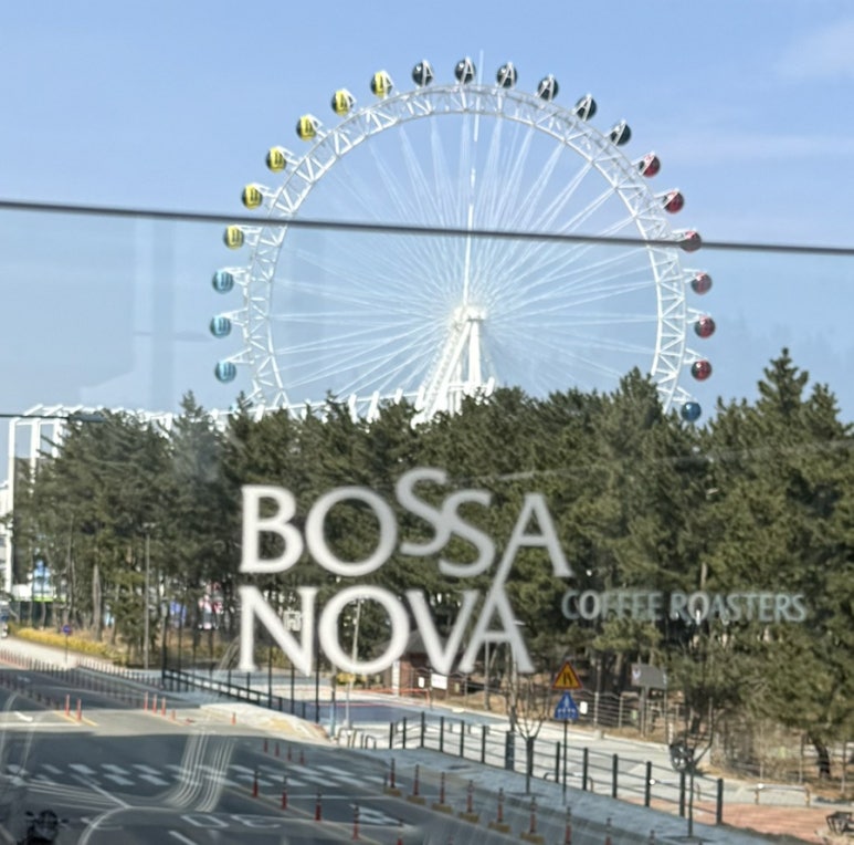보사노바 커피로스터스 속초점