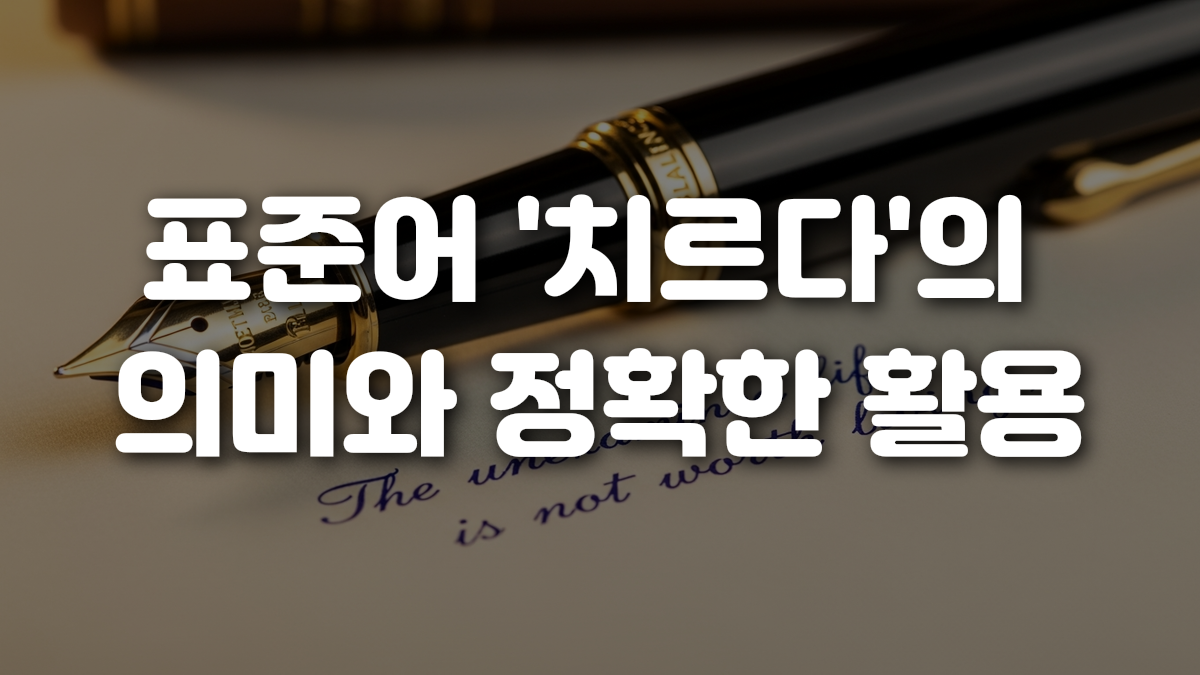 표준어 치르다 의 의미와 정확한 활용