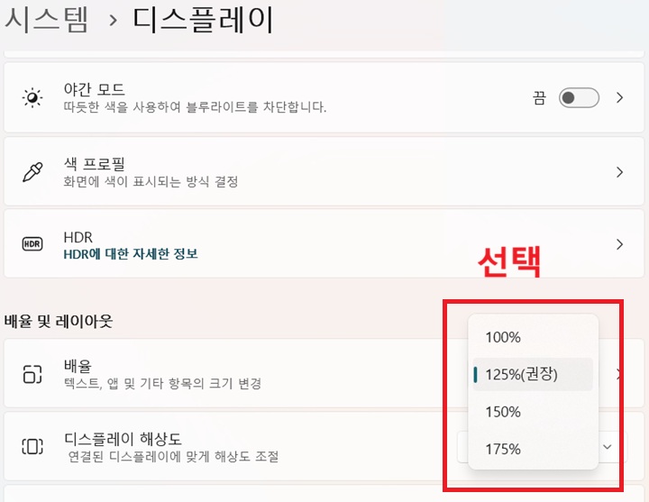 배율 선택창 보임 100%, 125%, 150%, 175% 보임