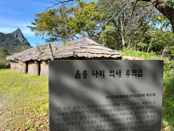 나리분지-억새-투막집