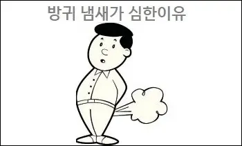 방귀 냄새가 심한이유