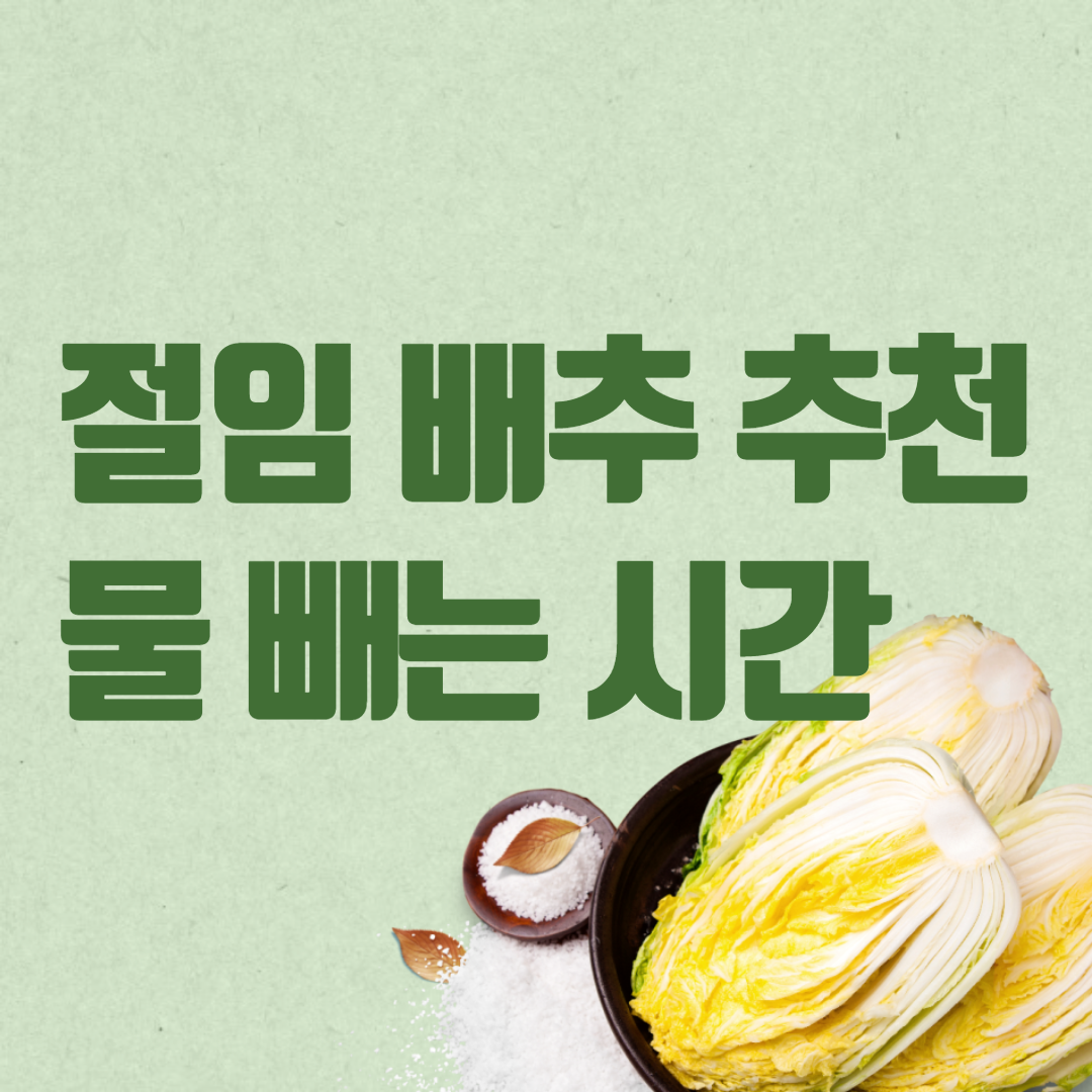 절임배추추천