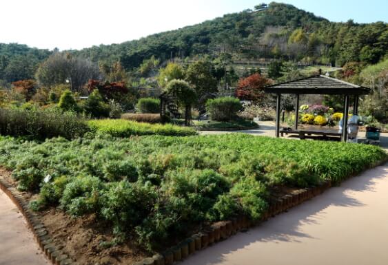 우리꽃식물원 6일간 무료 개방