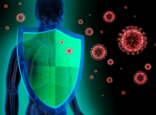 고사리-면역력-강화