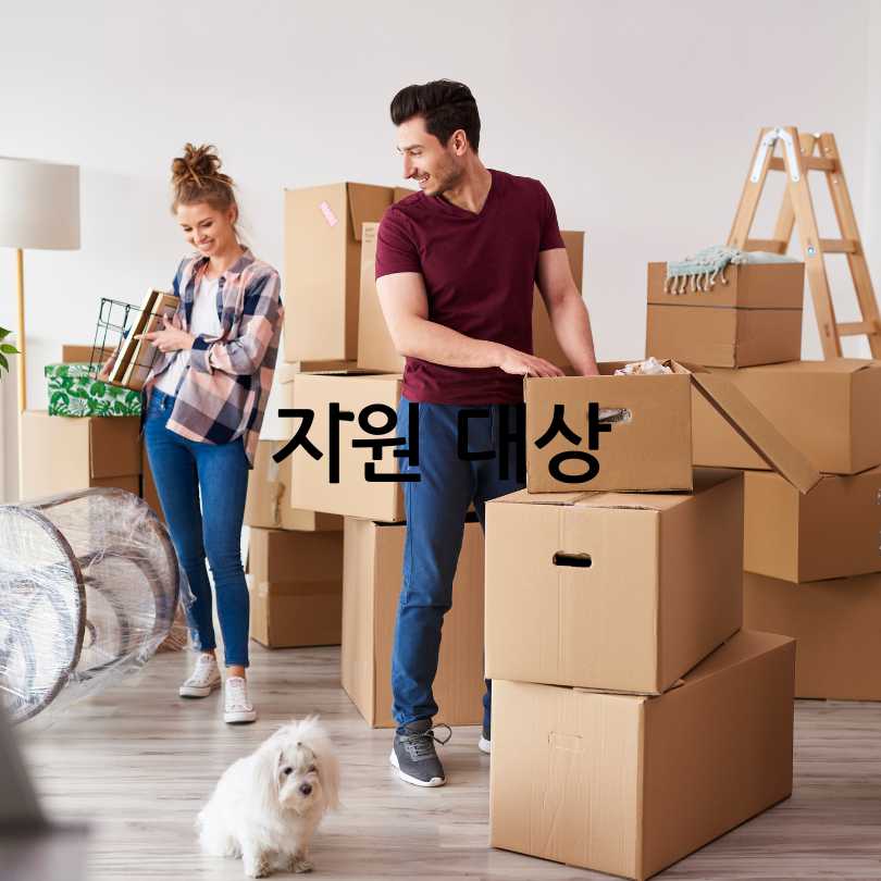 서울시 청년 이사비 지원
