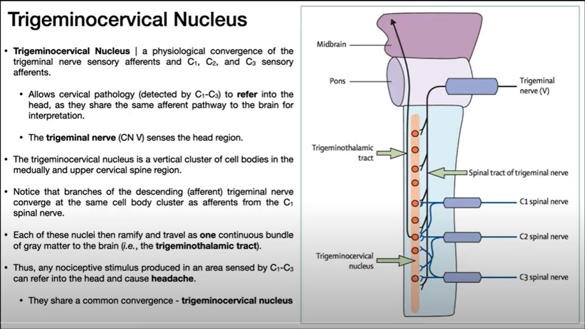 Image from Youtube Channel 'Catalyst University'
