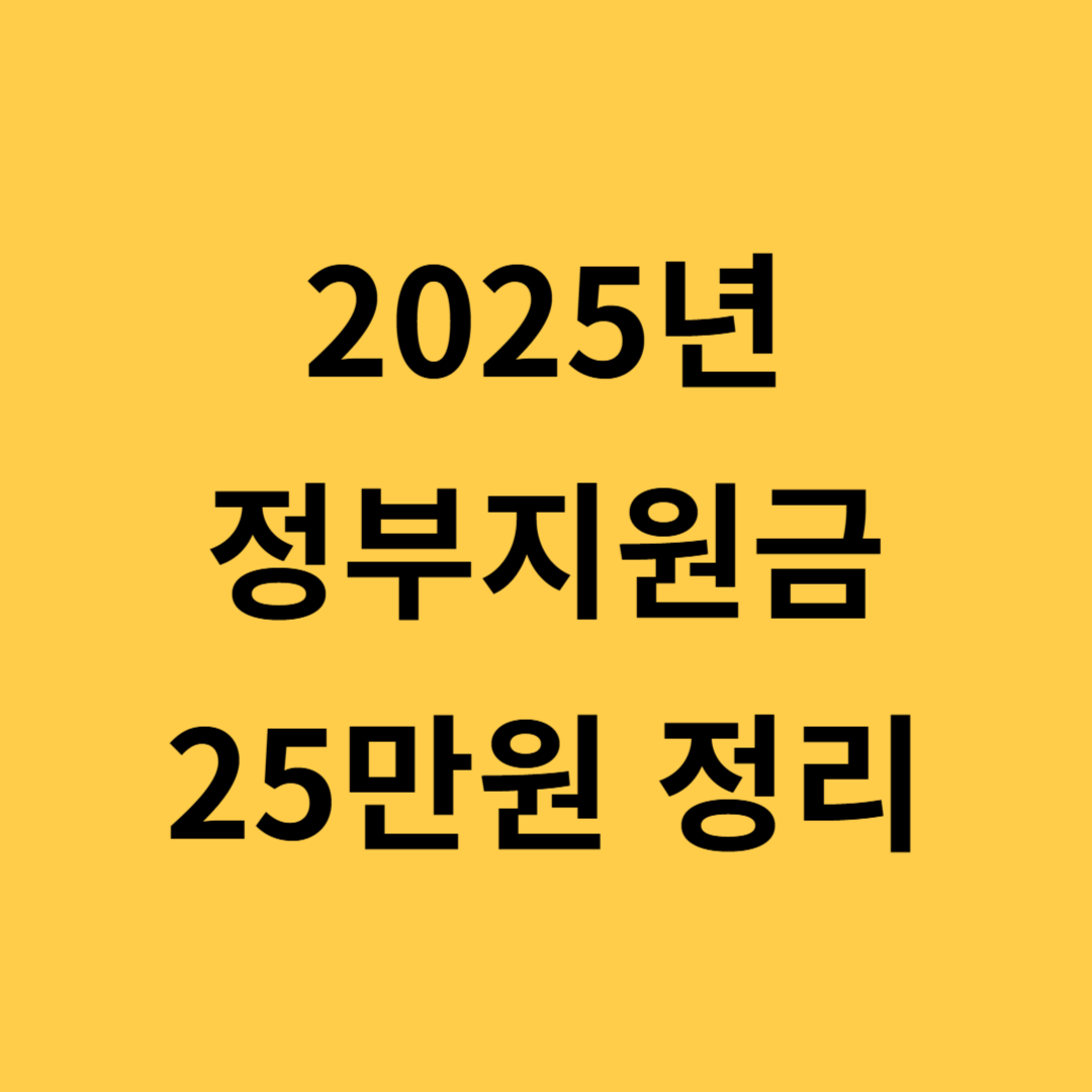 2025 정부지원금 25만원