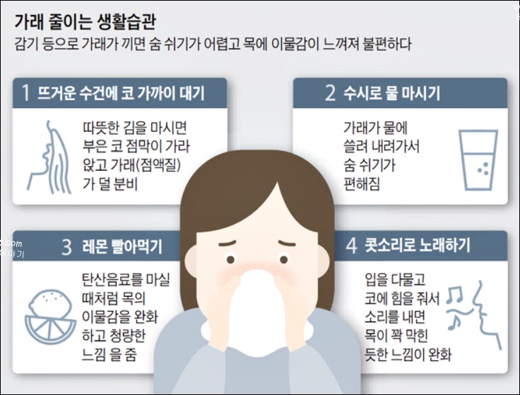 가래 제거 방법