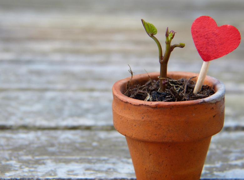 끌어당김-주파수