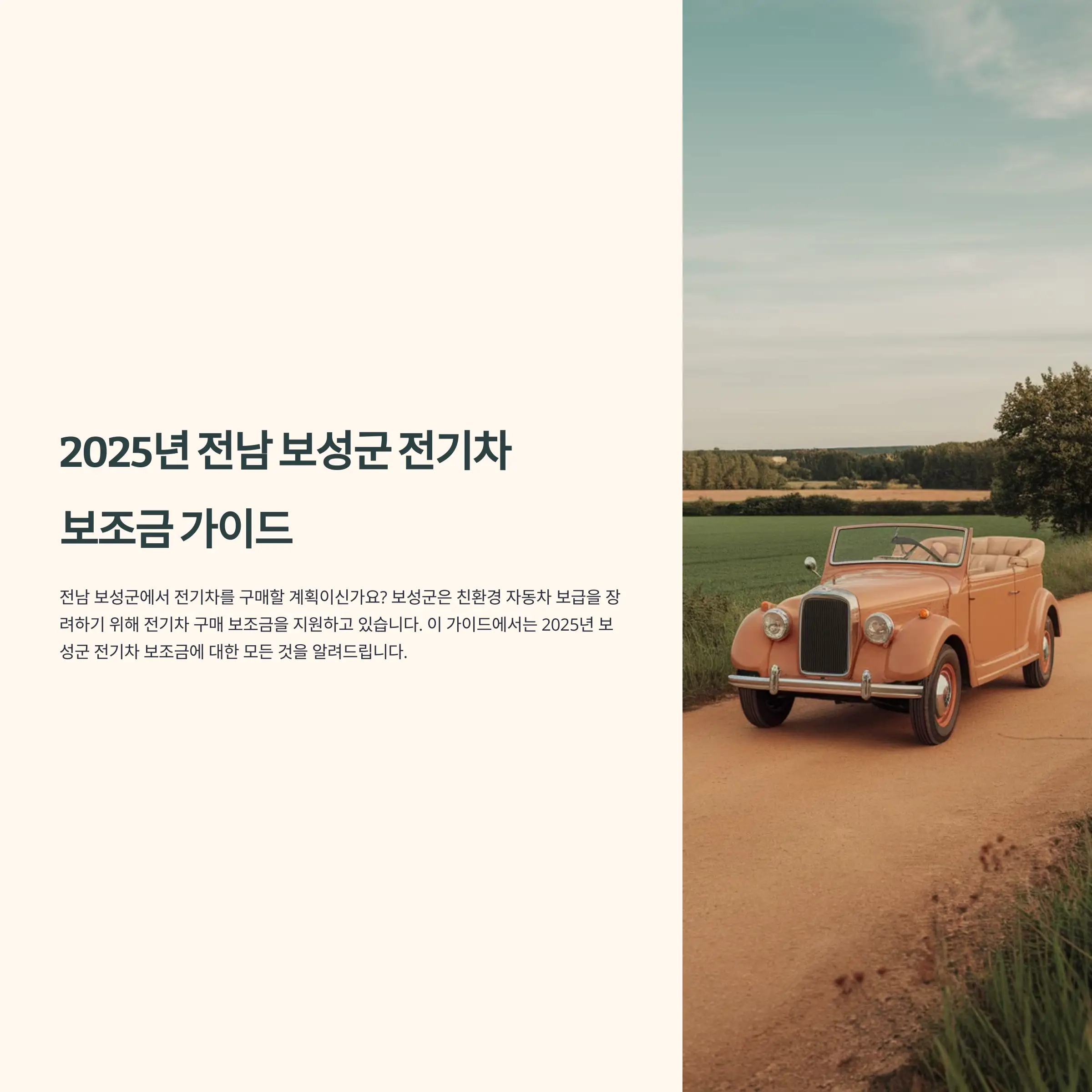 2025년 전남 보성군 전기차 보조금