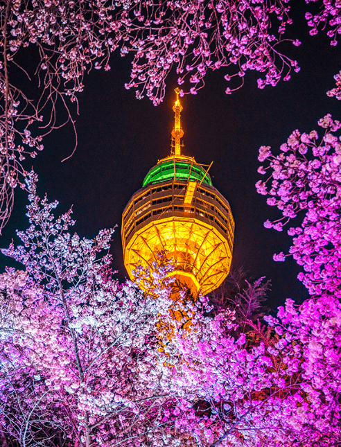대구 축제 일정