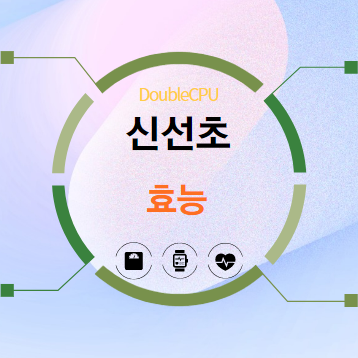 신선초 효능