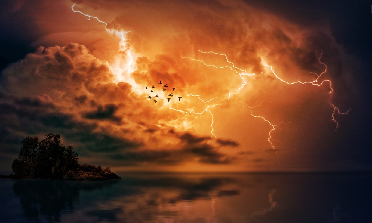 일상생활 배상책임보험