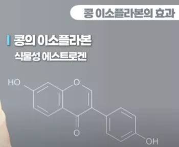 콩의-효과1