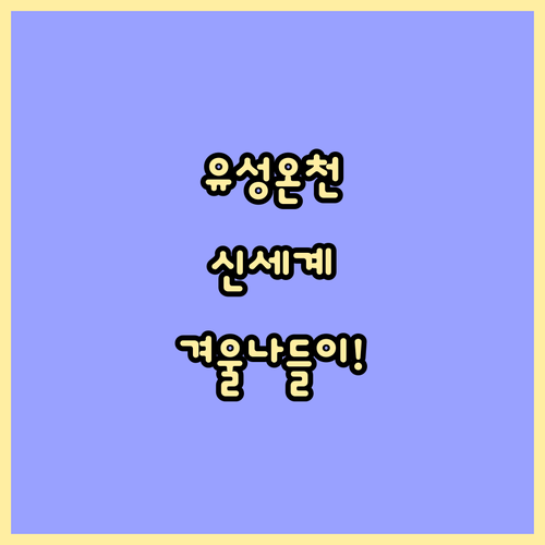 대전 유성구 겨울 나들이 명소 추천 ..