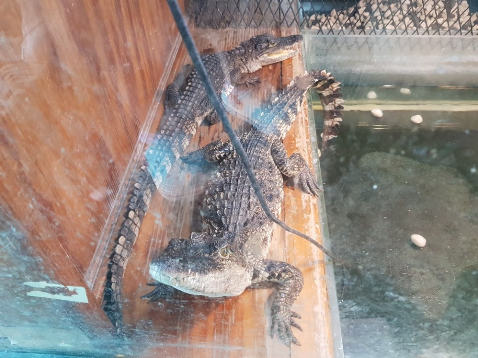 평택 가볼만한곳 베스트10