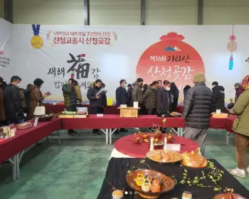 지리산 산청곶감축제_17