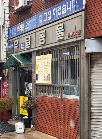 유달콩물