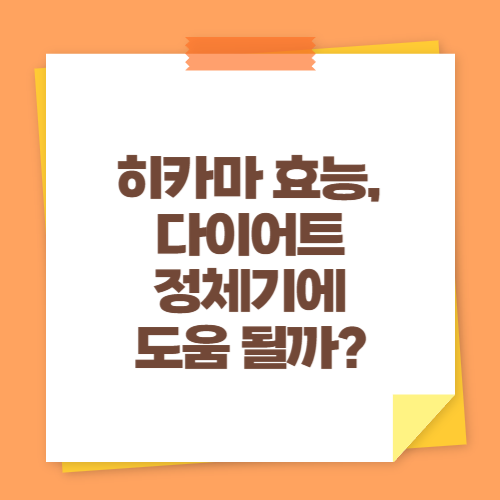 히카마 효능, 다이어트 정체기에 도움 될까