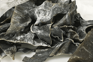 고지혈증에 좋은 음식09