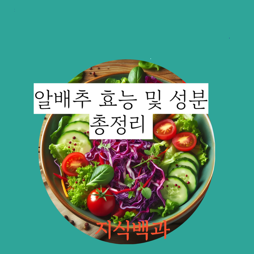 알배추 효능 및 성분 총정리 🥬