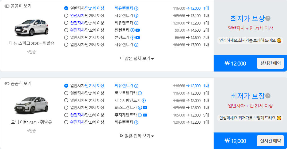 돌하루팡 렌트카