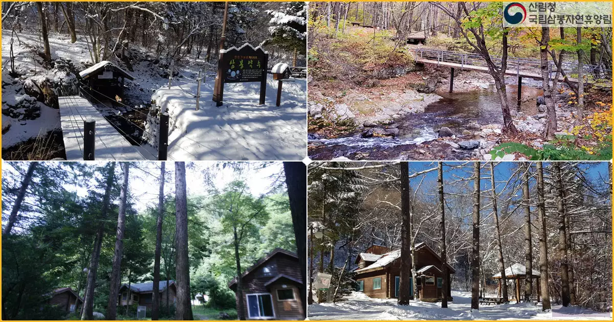 홍천 은행나무숲 주변명소