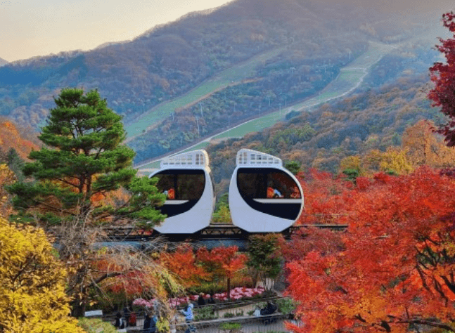 2025 화담숲 모노레일 예약 야놀자