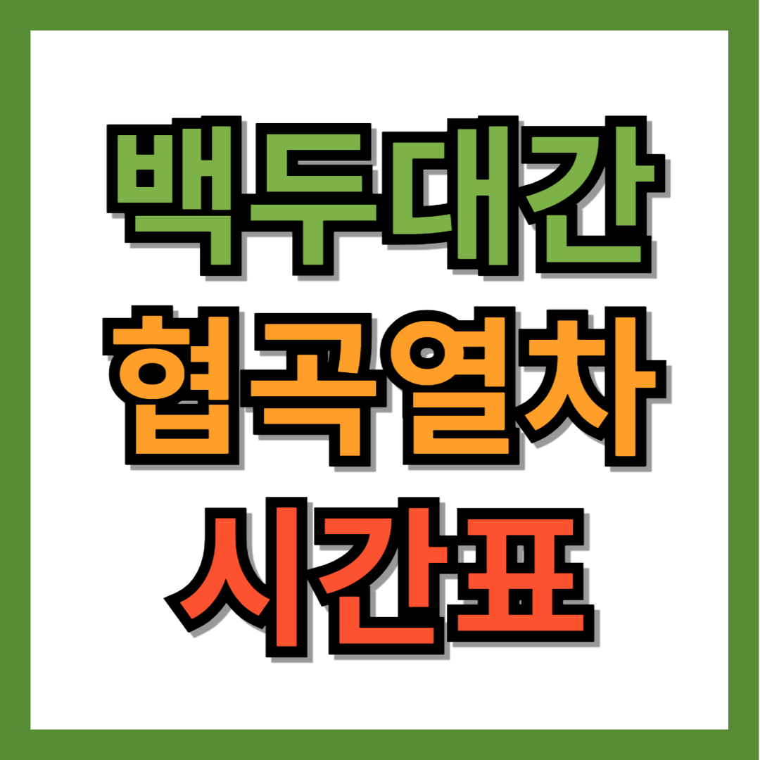 백두대간 협곡열차 시간표, 노선도