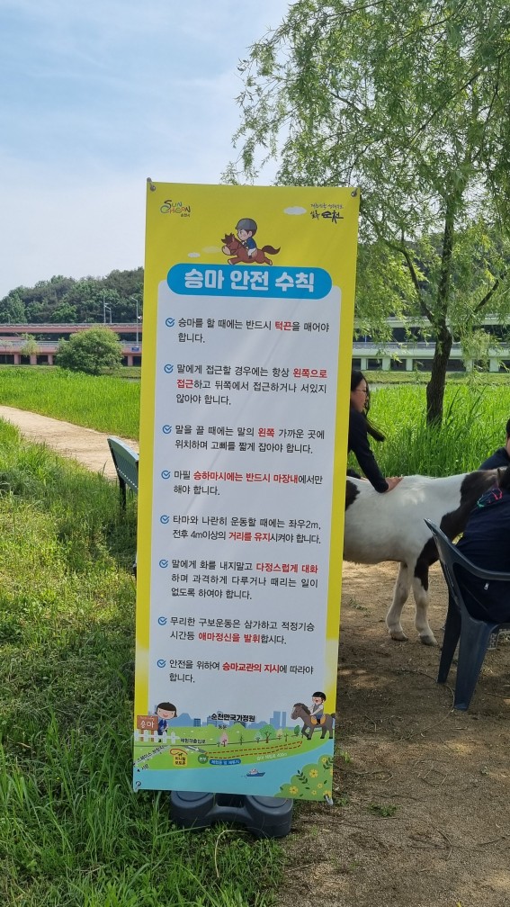 순천만국가정원 미니말 체험