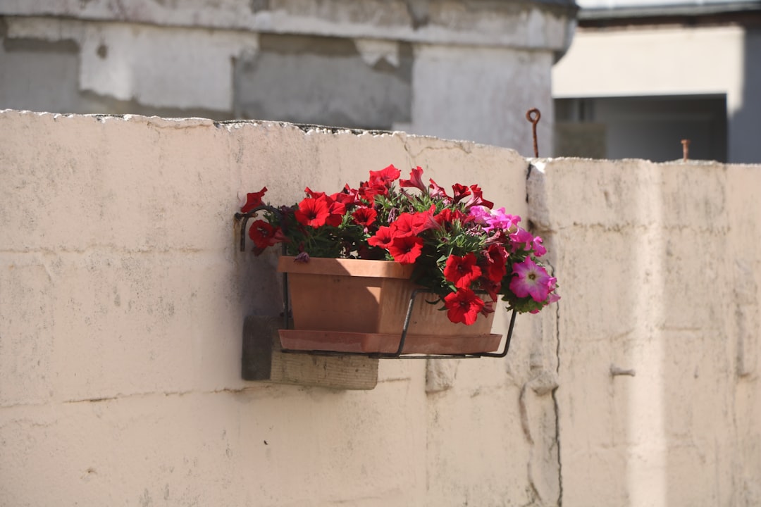 Planter