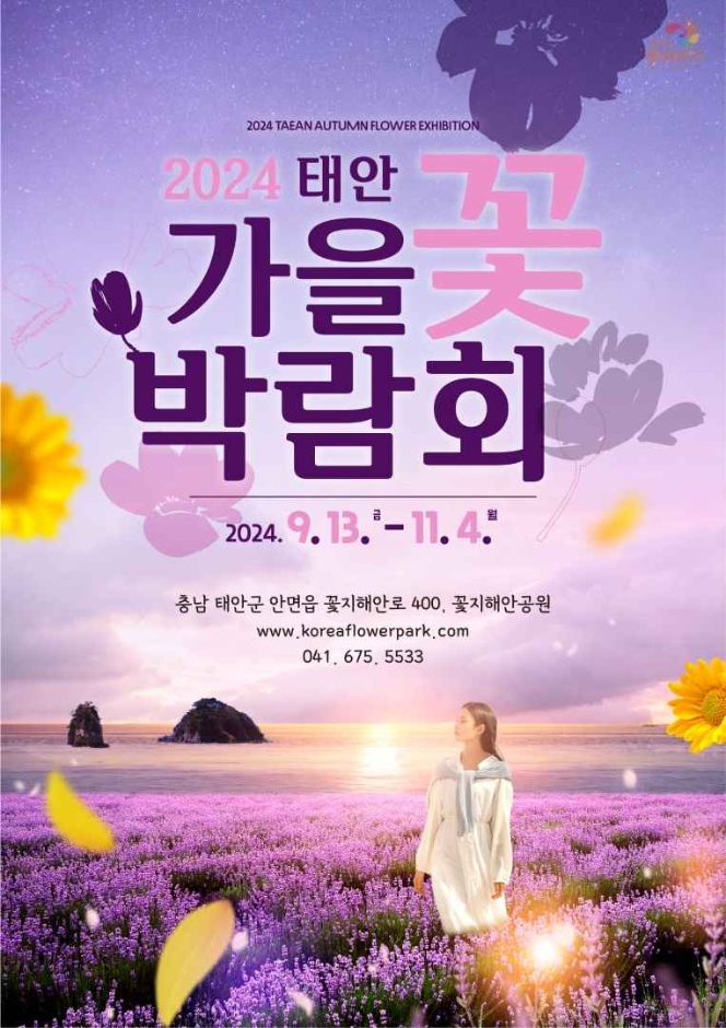 태안 가을꽃박람회 가을꽃축제