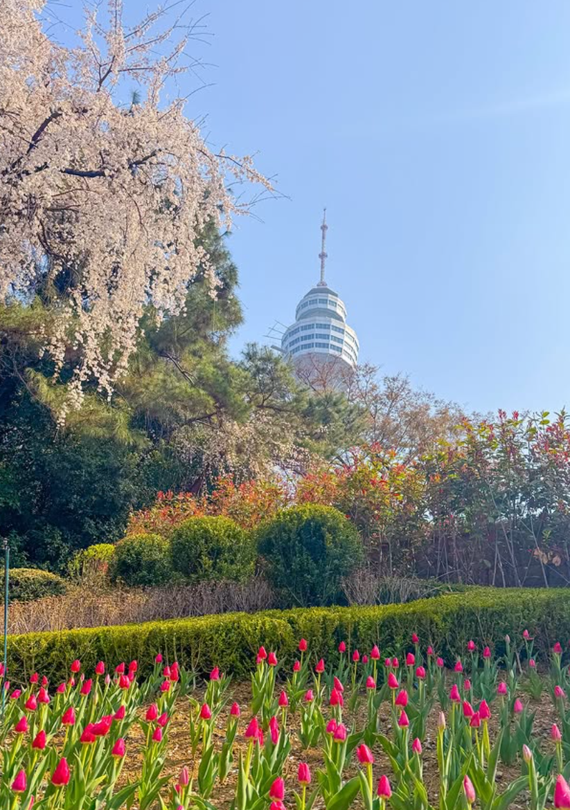 대구 이월드 자유이용권 할인