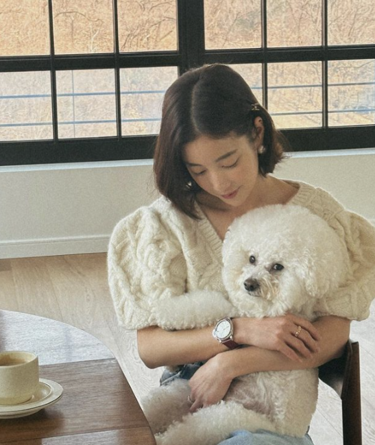 배우이자 인플루언서로 활약하는 기은세의 프로필, 학력, 결혼과 이혼, SNS 활동과 최근 소식까지 종합 정리한 글입니다.