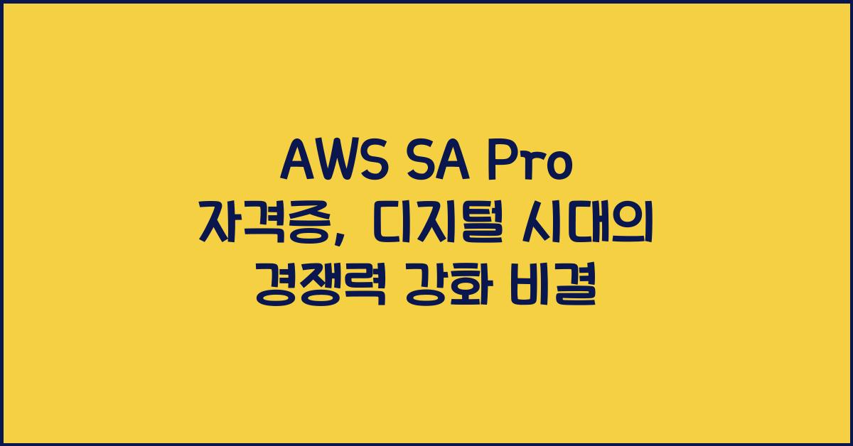 aws sa pro 자격증