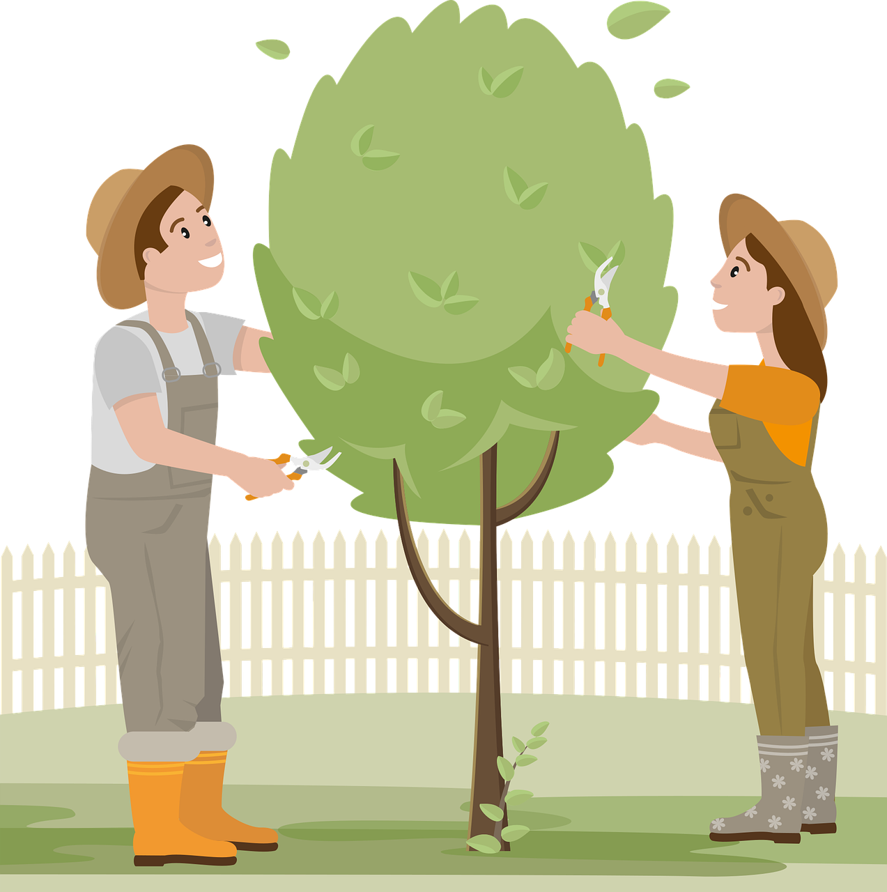 2025년 식목일 임시공휴일 지정됐을까 정부 발표 총정리