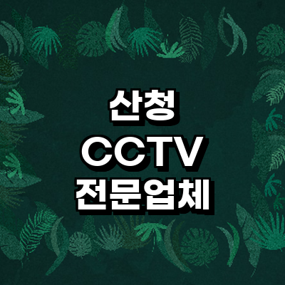 산청군 cctv