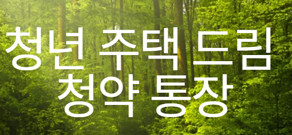 청년 주택 드림 청약 통장 이미지