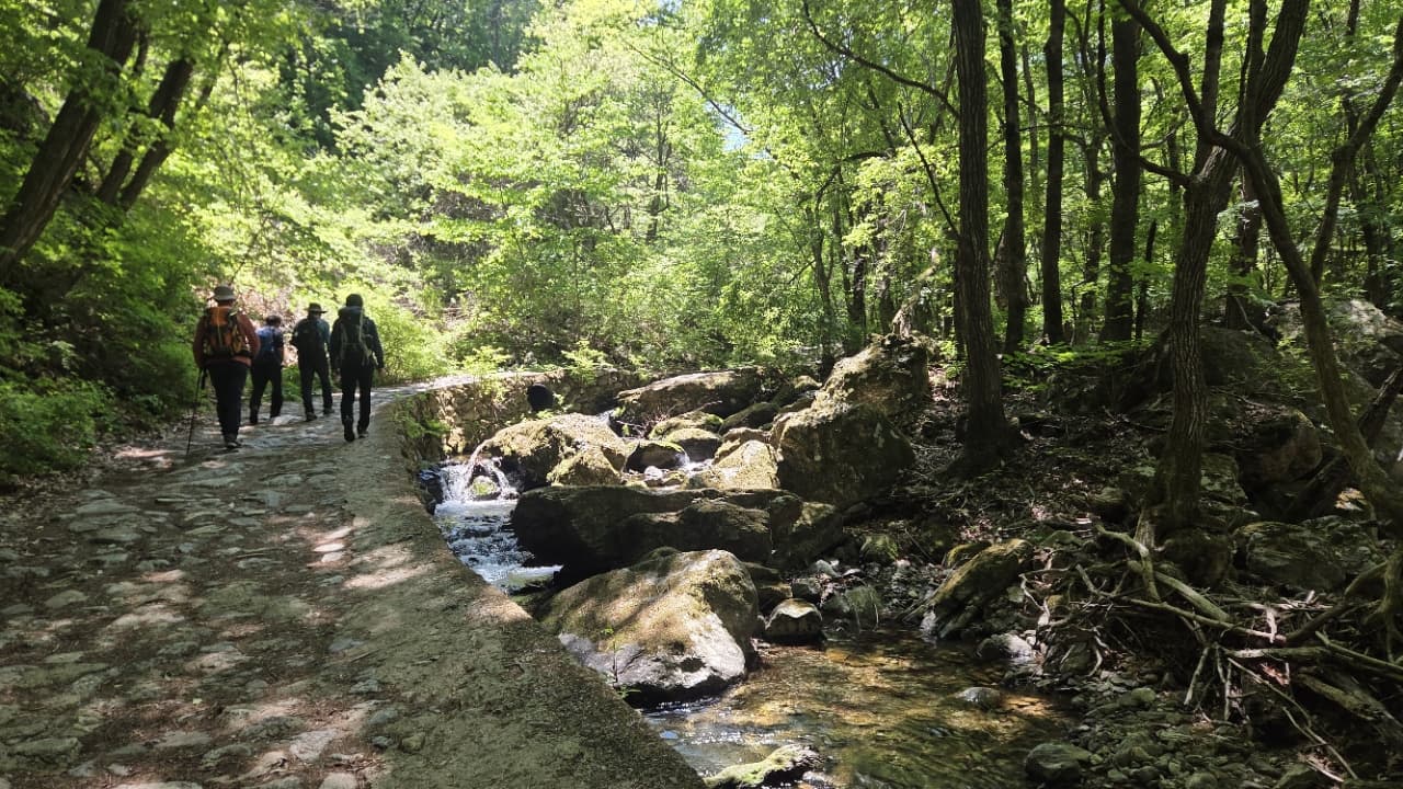 5월의 치악산은 걷기만 해도 힐링되는 곳