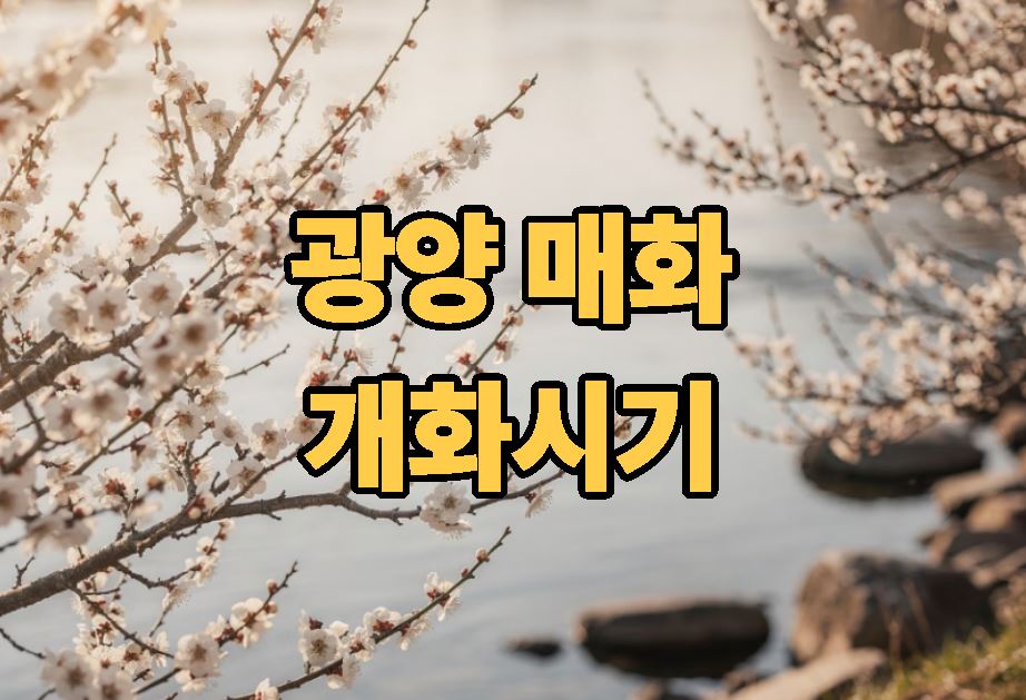 광양 매화 개화시기 안내