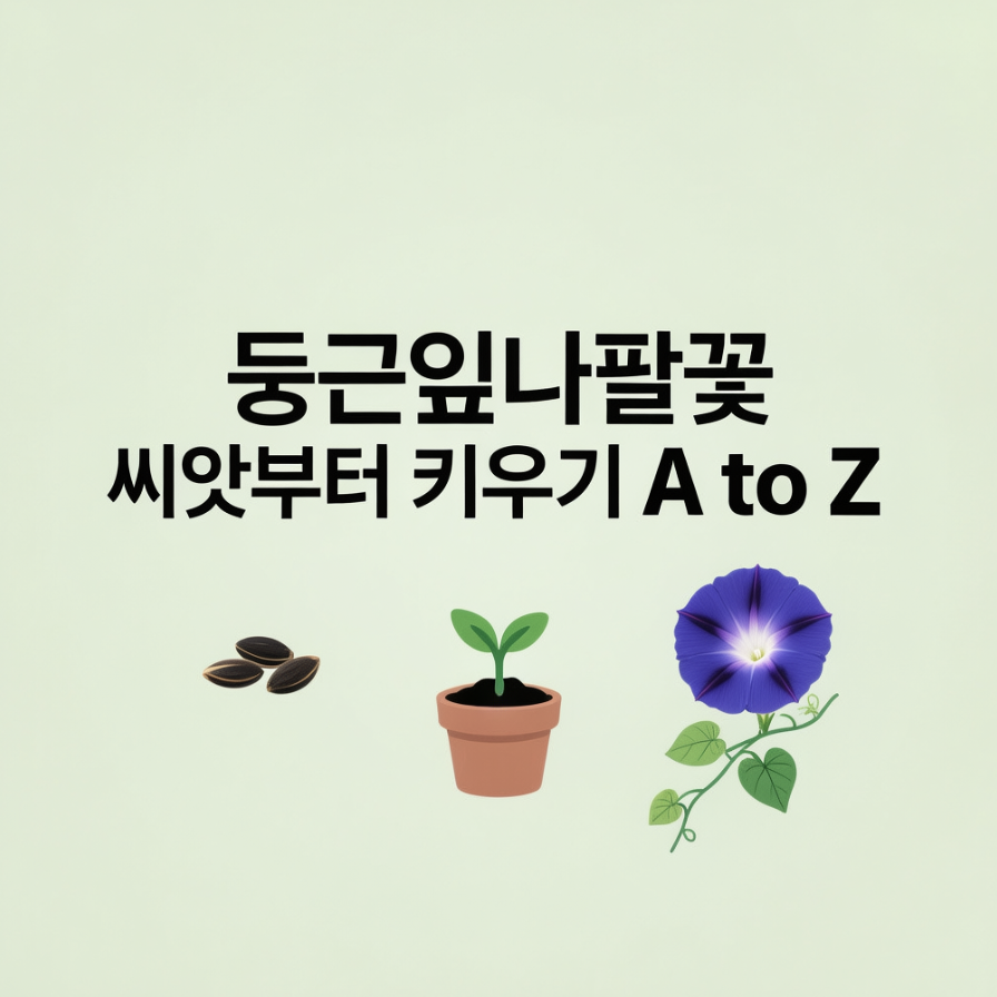 둥근잎나팔꽃 씨앗부터 키우기 A to Z