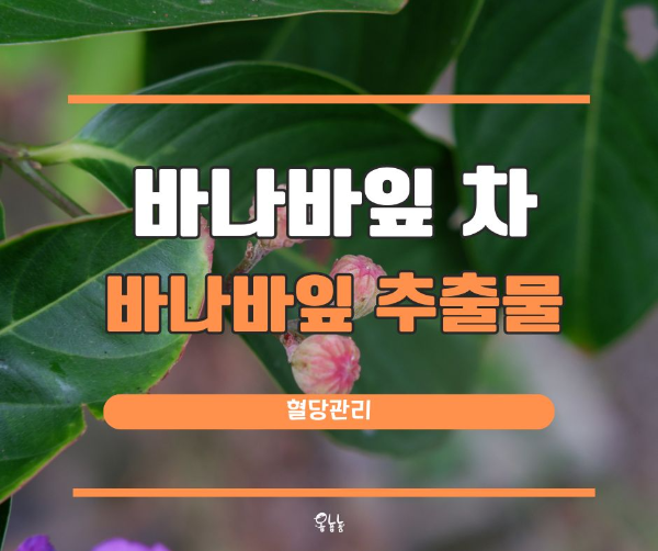 바나바잎 차