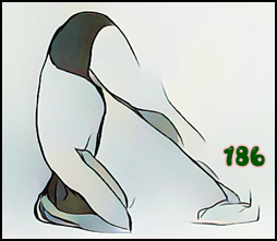 소소한요가 클래스