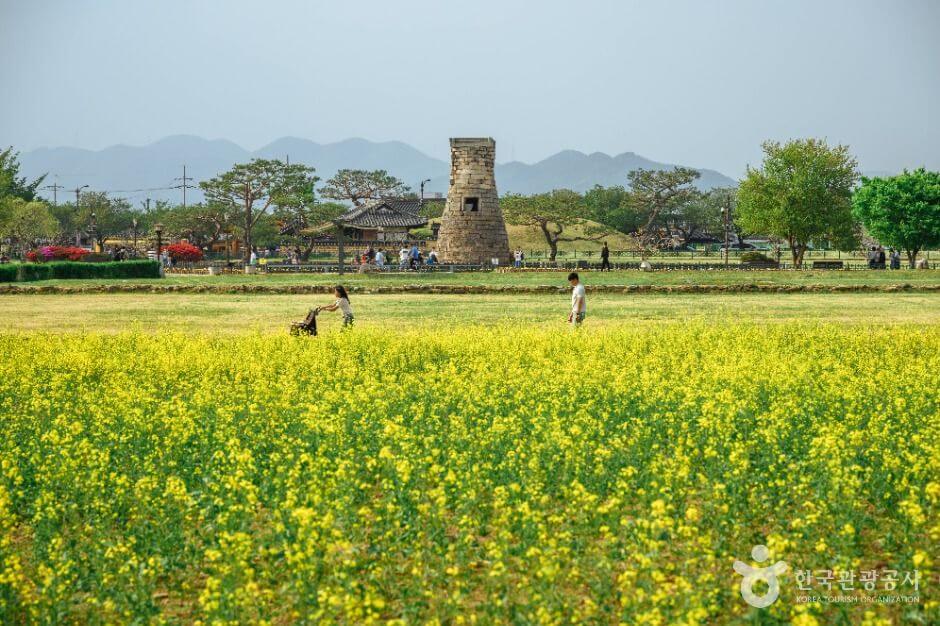경주 가볼만한곳 베스트 10