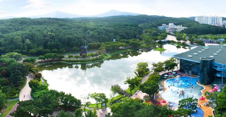 울산대공원장미축제