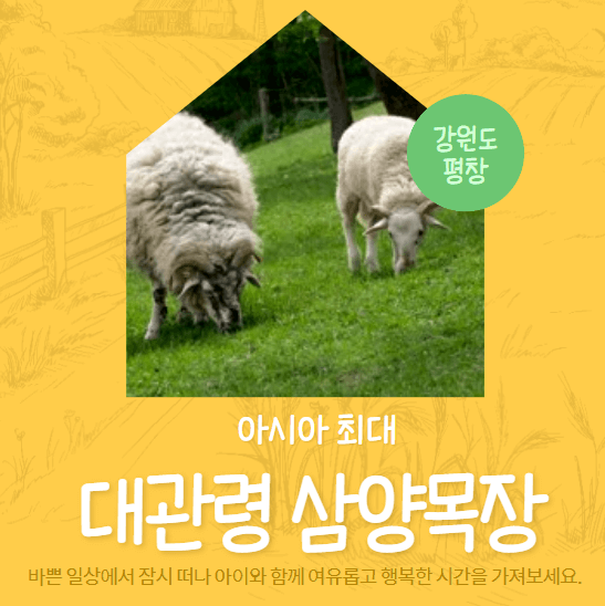 대관령 삼양목장
