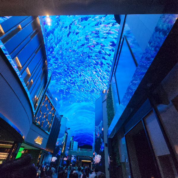 인천 영종도 인스파이어 리조트 방문후기 오로라 이미지